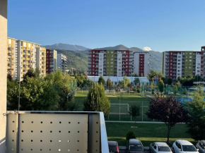Spacius and Comfortable Apartment, Wifi, Parking